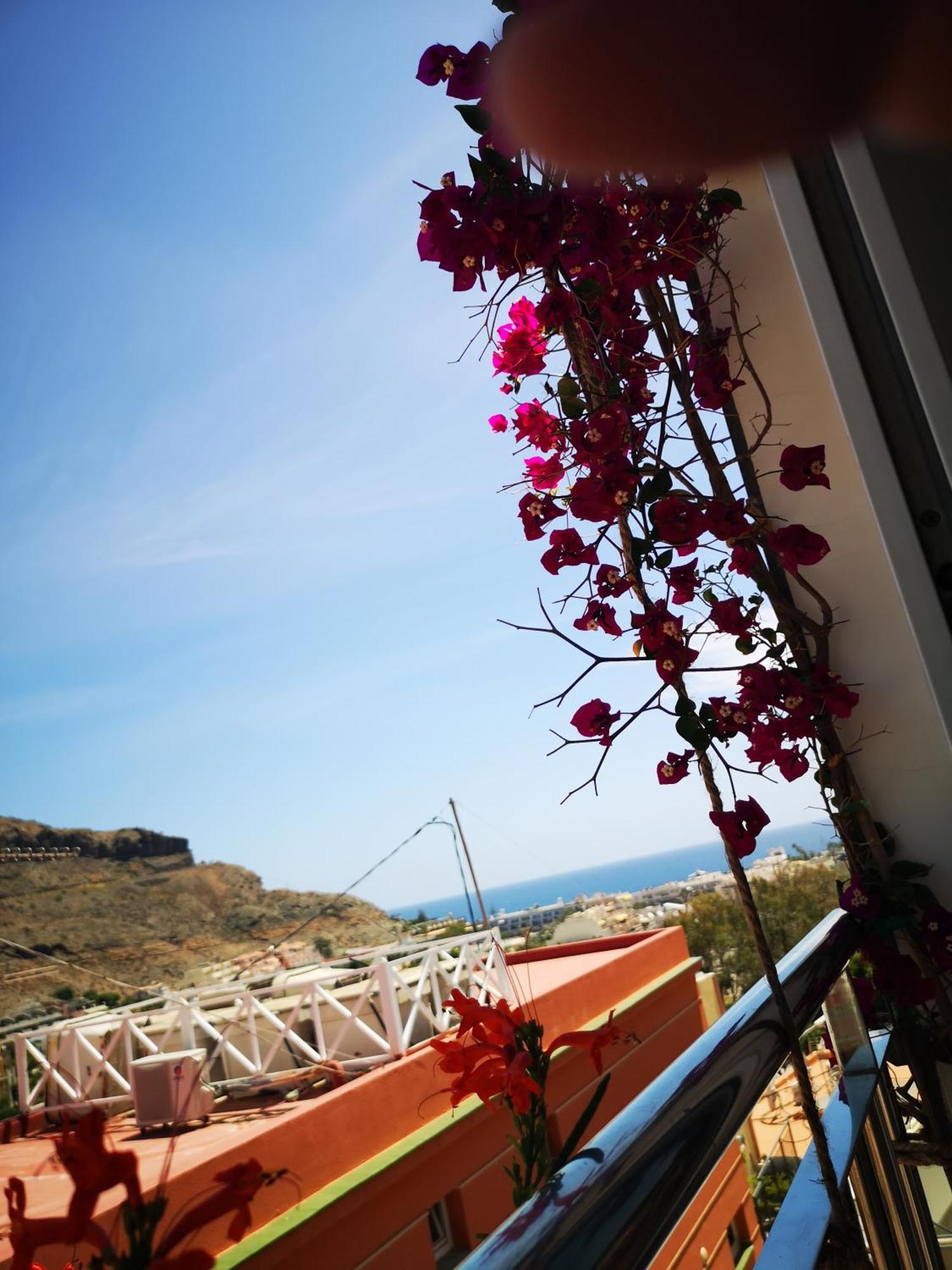 Apartamento Puerto De Mogan Sonneland Exterior foto